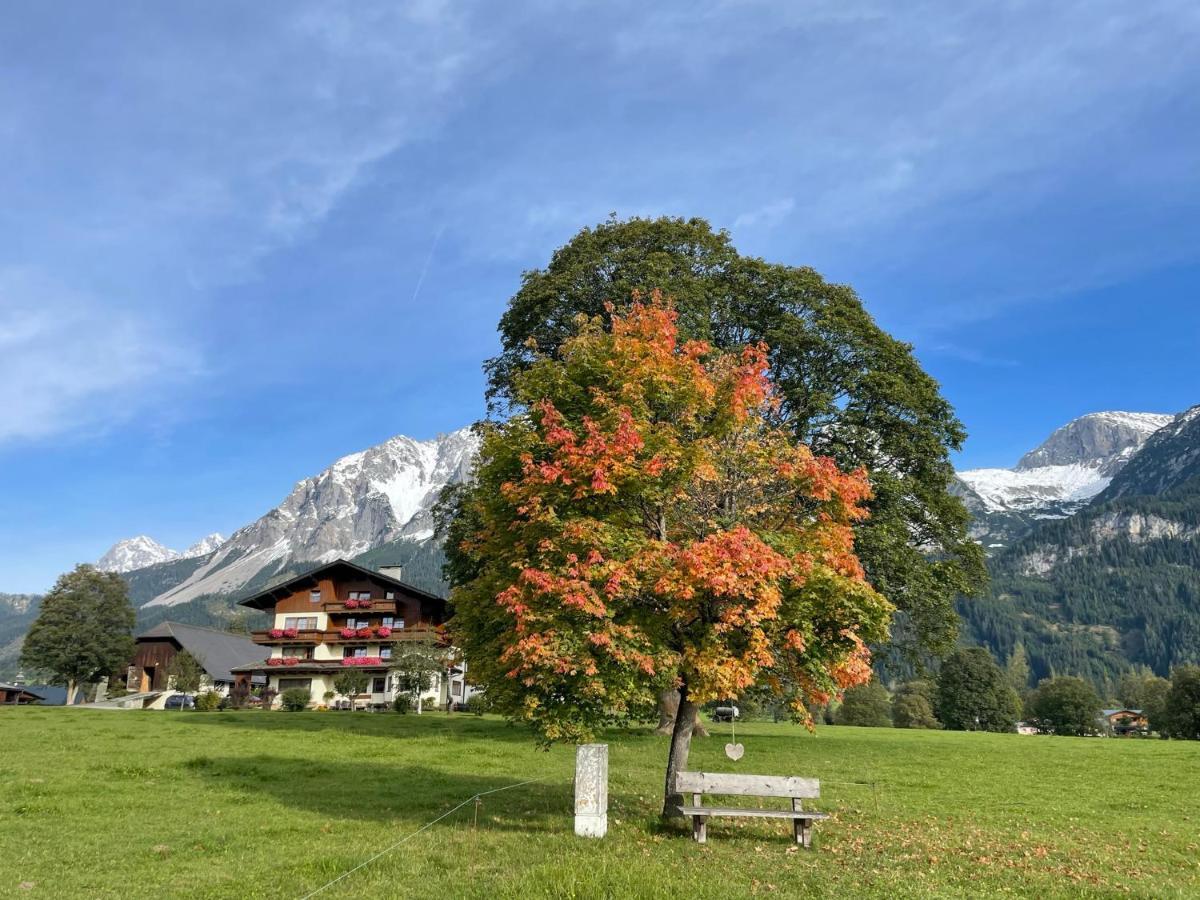 Pension Moeslehnerhof 람자우 암 다흐스타인 외부 사진